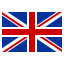 language icon